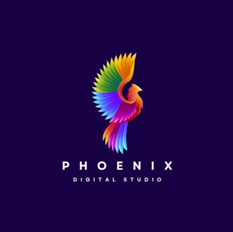 Blue Colorful Digital Studio Logo